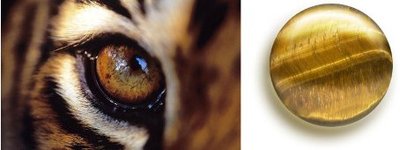Тигровый глаз - tigers-eye-2.jpg