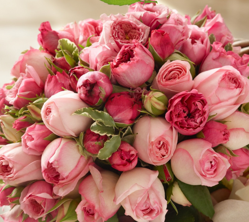 JulijaNi  - Bouquet-of-pink-roses-1080x960.jpg