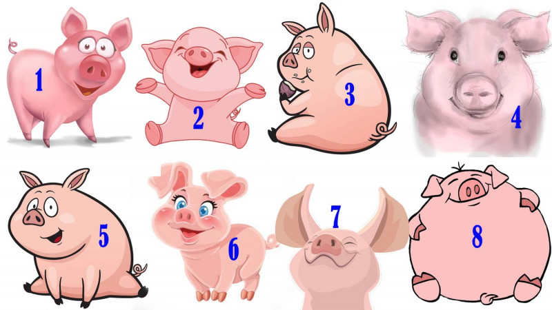 Гадание на свинках - Гадание на свинках.jpg