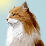 Аватара пользователя