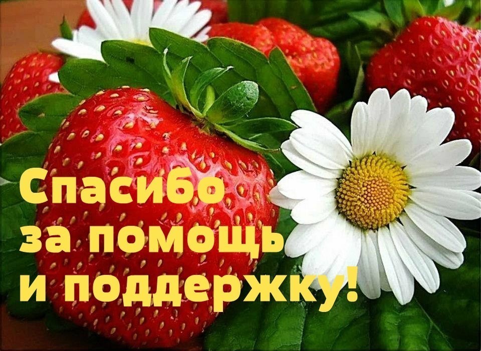 solncepunya - Спасибо за помощь и поддержку.jpg