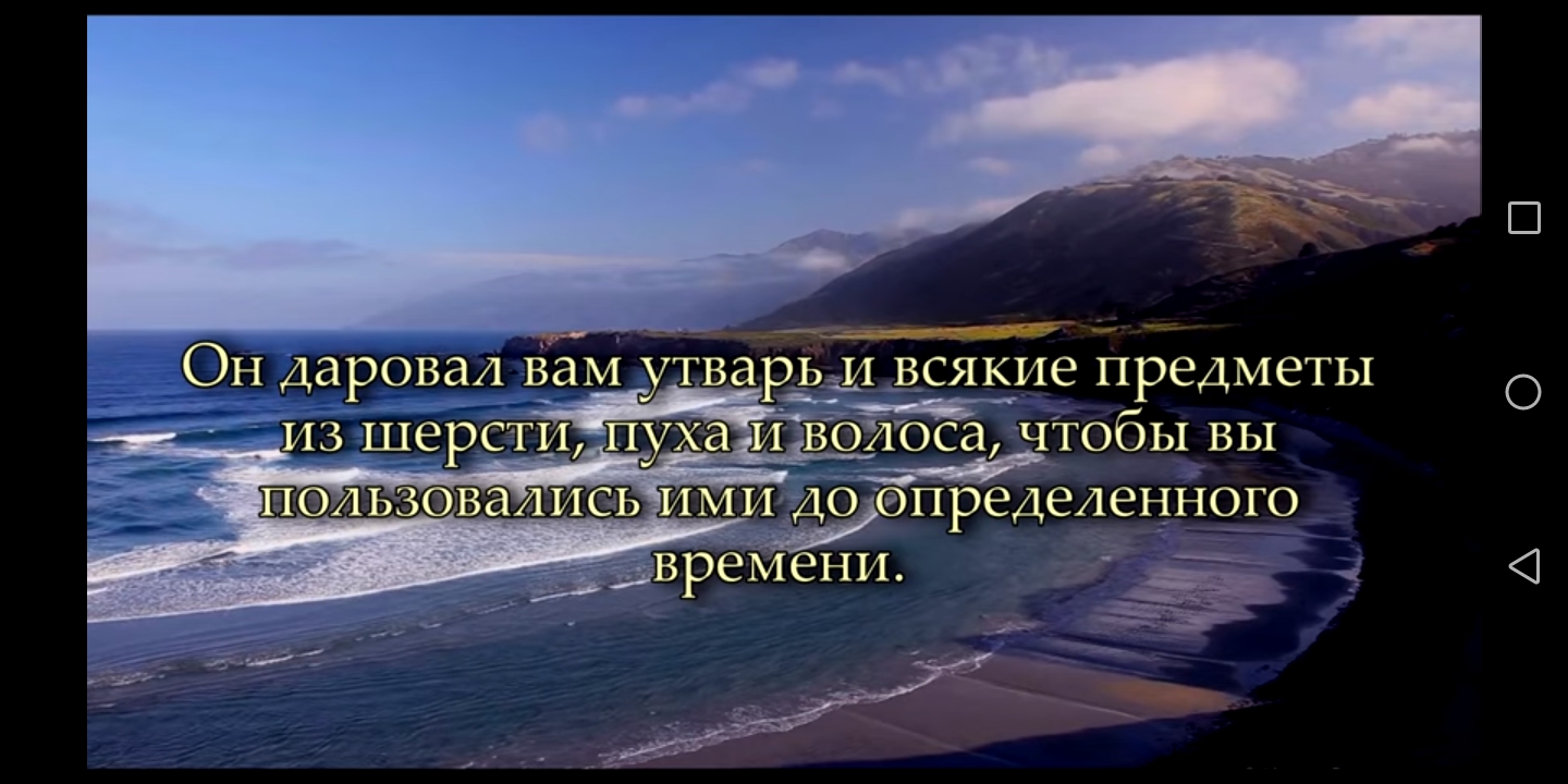Блог mudder - Screenshot_20210715-141025.jpg