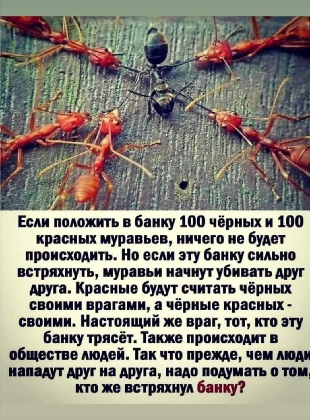 Блог mudder - 233233853_1167858553625789_4047795493445345482_n.jpg