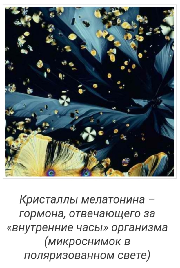 Блог mudder - IMG_20211007_201418.jpg