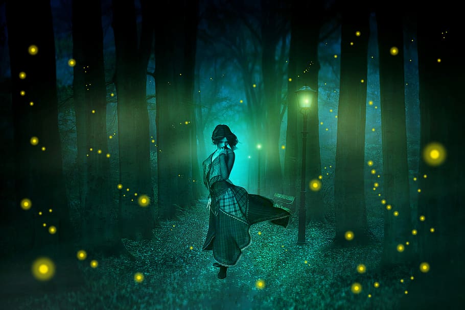 Настроение.... - night-fireflies-street-lights-road-trail-park.jpg