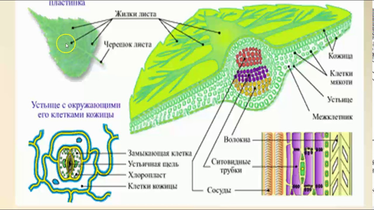 Блог mudder - maxresdefault (2).jpg