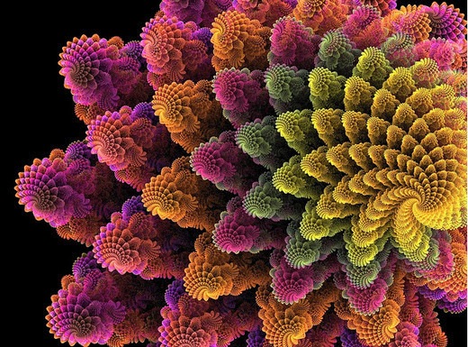 Блог mudder - fractalflowers36.jpg