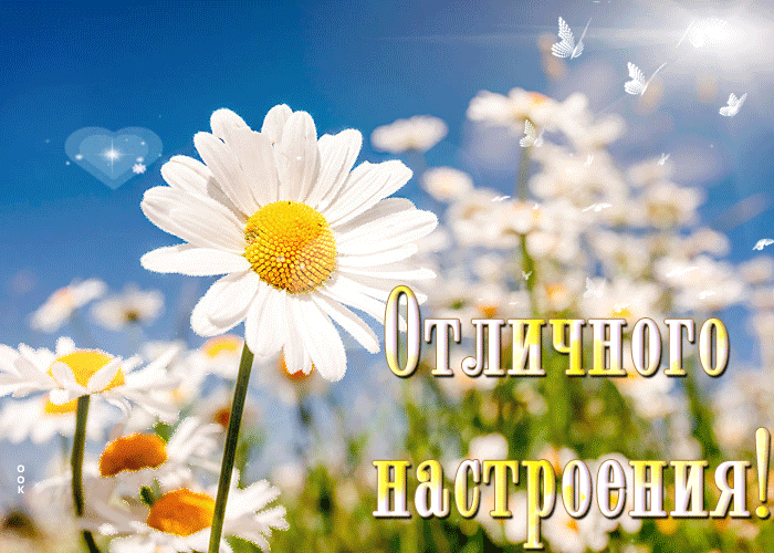 Настроение.... - solnechnogo-nastroeniya-vam-37888.gif