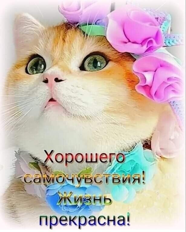 Настроение.... - 72daecba1ba7619b26b5ca1ebb95de00.jpg