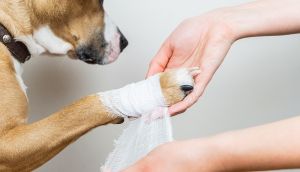 Блог mudder - shutterstock_1288126369.jpg