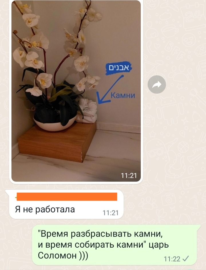 Блог mudder - IMG_20220223_112754.jpg