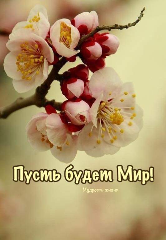 Блог mudder - 275123861_1690981931249079_121490481327979836_n.jpg