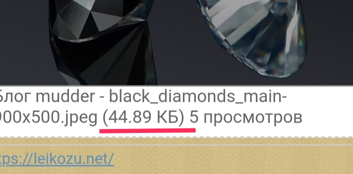 Блог mudder - IMG_20220329_211321.jpg
