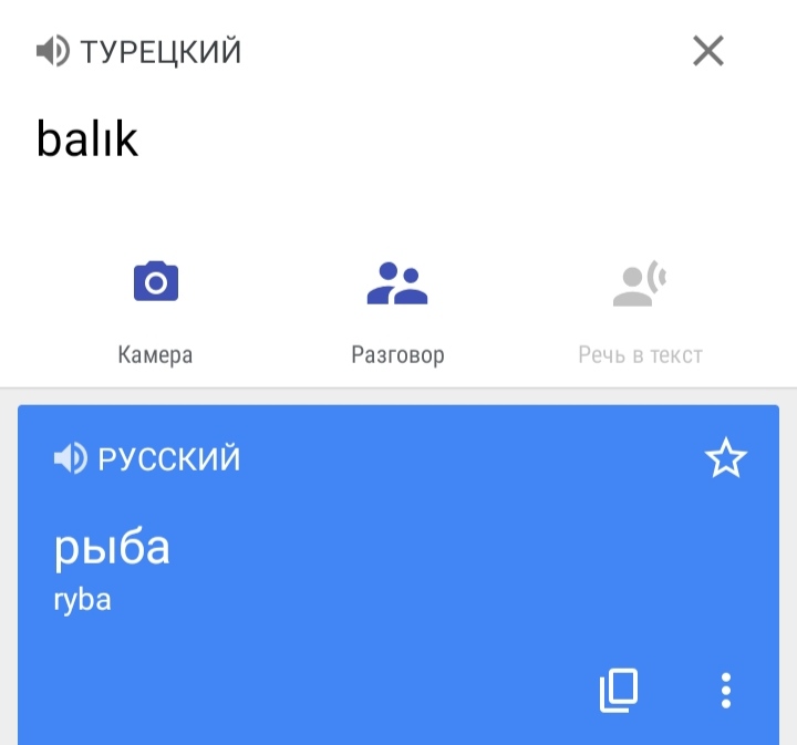 Блог mudder - IMG_20220402_090532.jpg