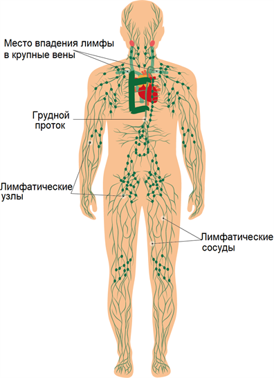 Блог mudder - 79w396.png