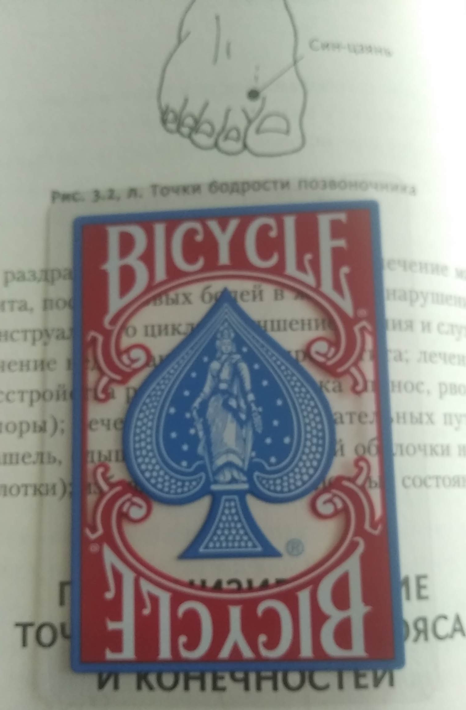 Блог mudder - IMG_20220709_065357.jpg