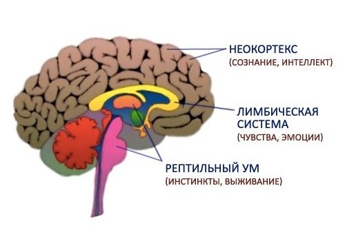 Блог mudder - 425ff4f71f9a3302c49a9c49ecf3946b.jpg
