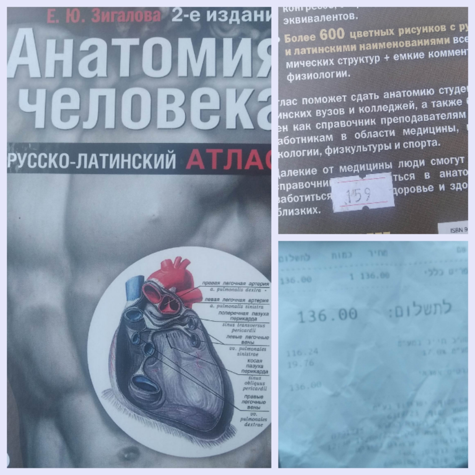 Блог mudder - img1660556320548.jpg