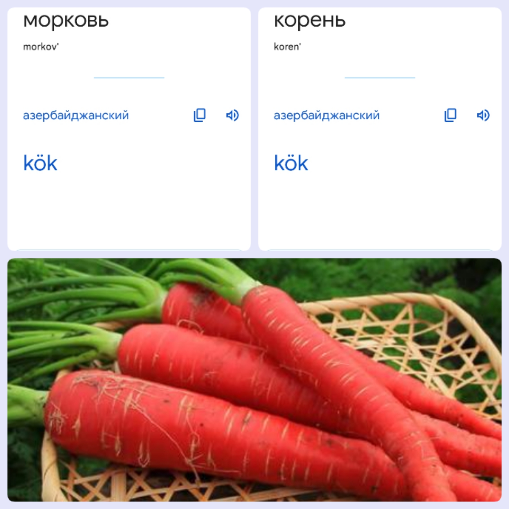 Блог mudder - img1661230412993.jpg