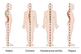 Блог mudder - images (2).jpeg