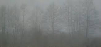 Блог mudder - images (2).jpeg