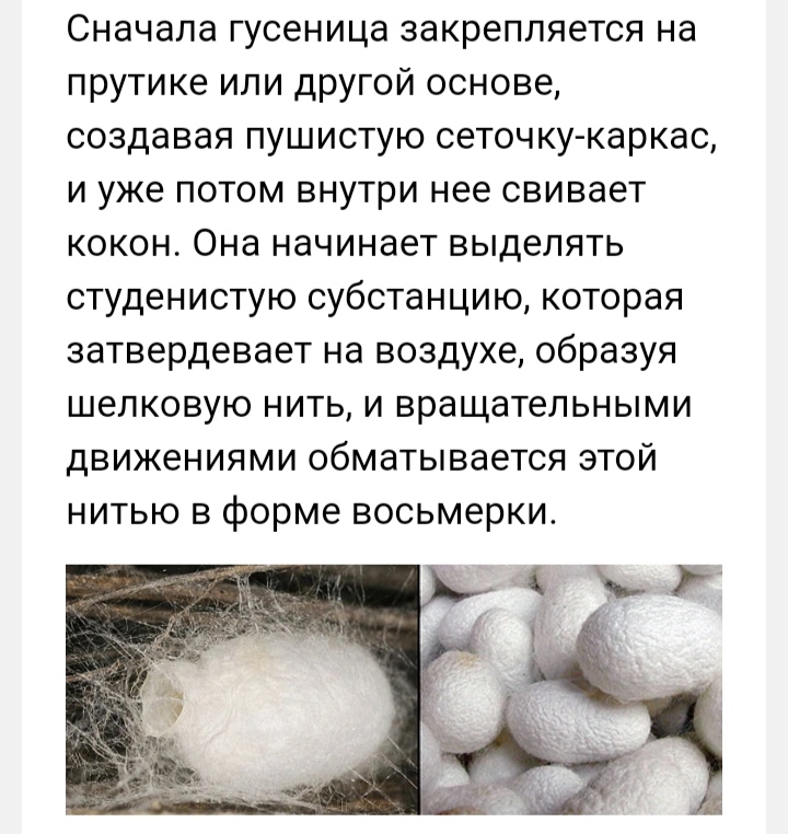 Блог mudder - IMG_20221018_044049.jpg