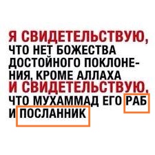 Блог mudder - IMG_20221101_055002.jpg