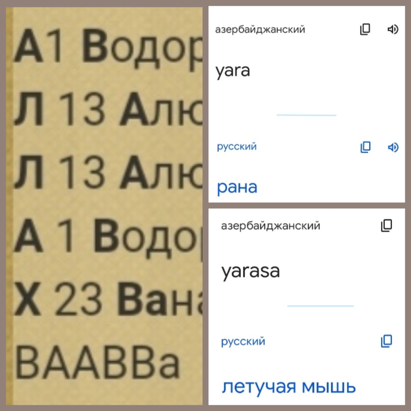 Блог mudder - img1670651453561.jpg