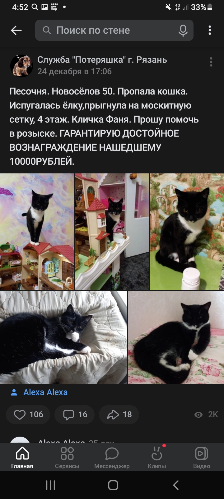 Кошка Подвал Помогите пожалуйста - Screenshot_20221227-165228_VK.jpg