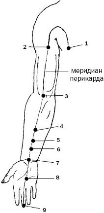 Тотемы. - 7DFD0963-208B-4CC1-9097-C5B72EC5A8AB.png