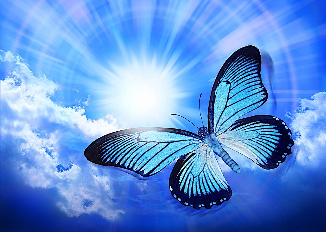 Блог Иной  - Buddha-Weekly-Butterfly-reincarnation-concept-Buddhism.jpg
