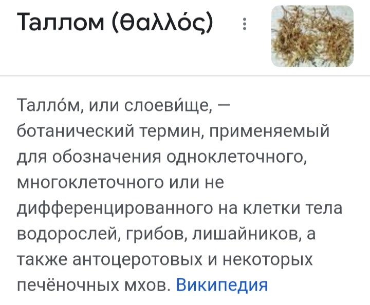 Блог mudder - IMG_20230120_185154.jpg