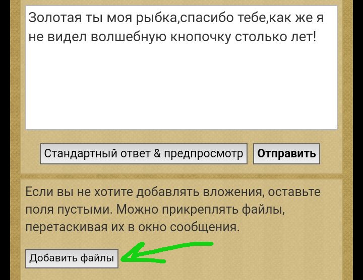 Блог mudder - 20230215125100.jpg