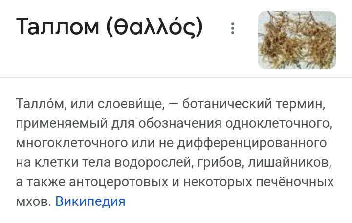 Блог mudder - Screenshot_20230218-083426.jpg