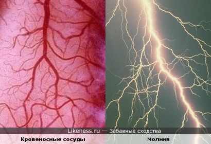 Блог mudder - 1354284858.jpg