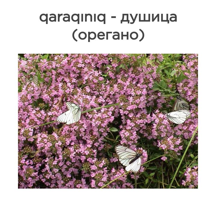 Блог mudder - Screenshot_20230523-145852.jpg