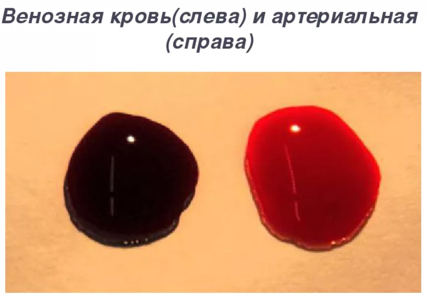 Блог Иной  - 2023-06-18_10-04-08.png