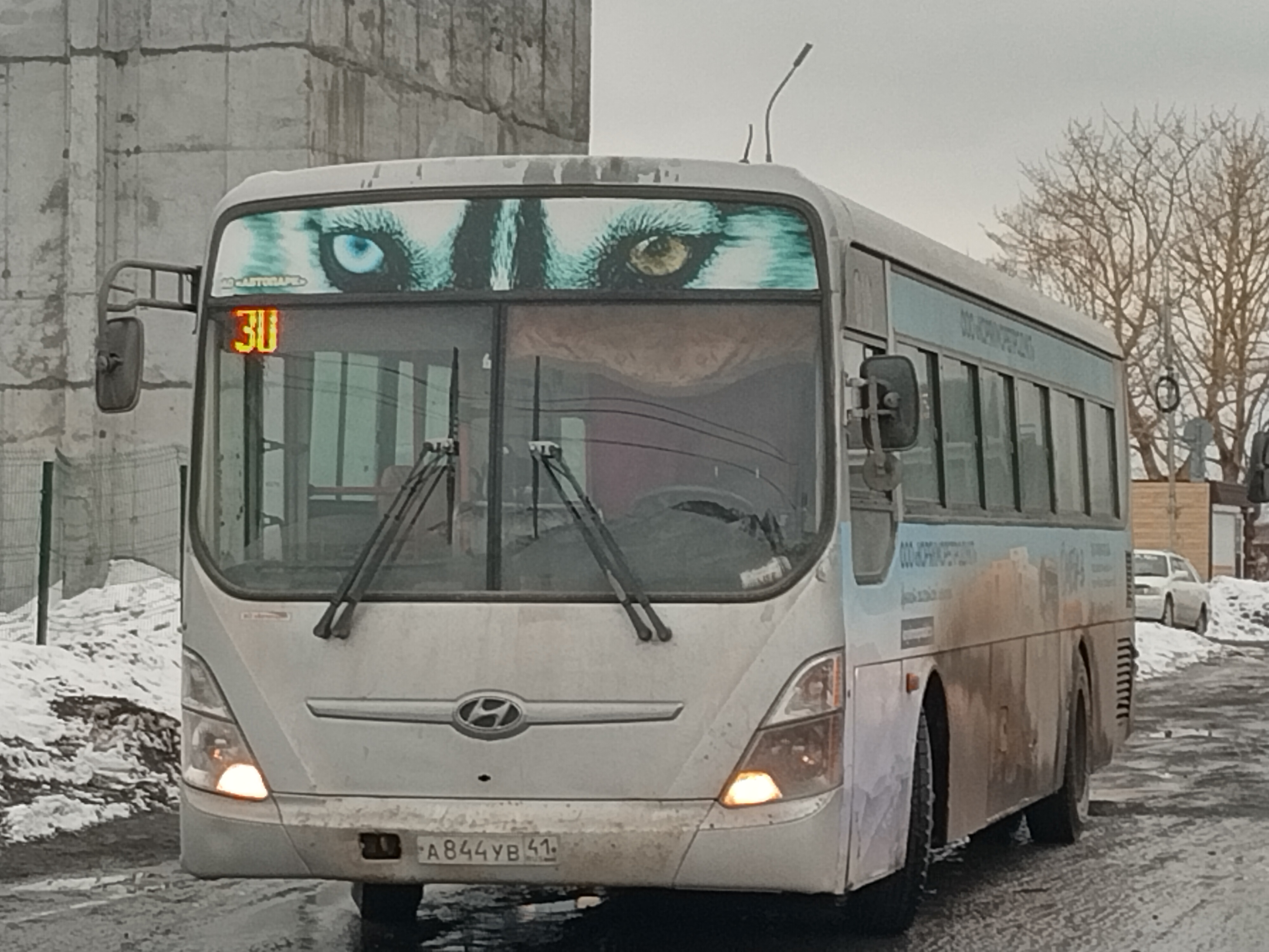 Хаска. 3 юнита ;  - IMG_20220312_180149_HDR.jpg