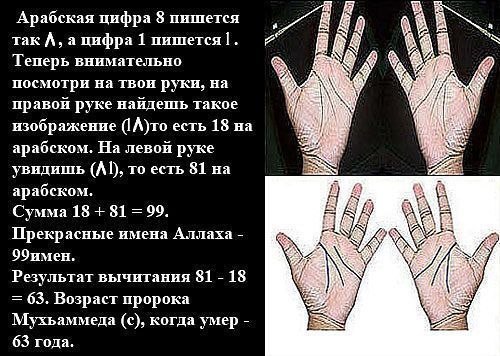 Блог mudder - 1765_original.jpg