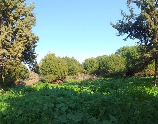 Блог mudder - Screenshot_20231218-134414.jpg