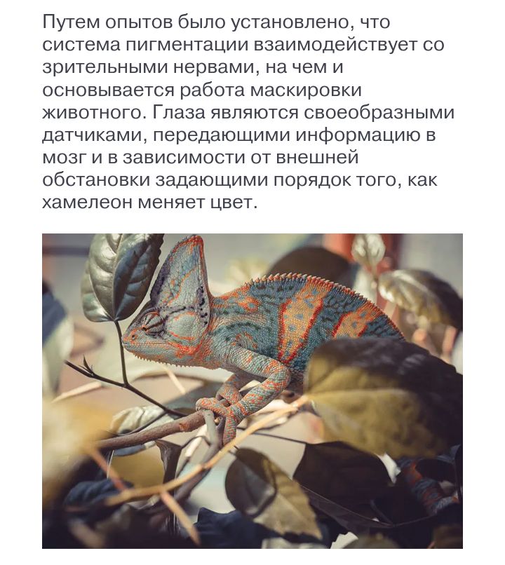 Блог mudder - Screenshot_20240127-194016.jpg