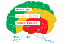 Блог mudder - images (1).png
