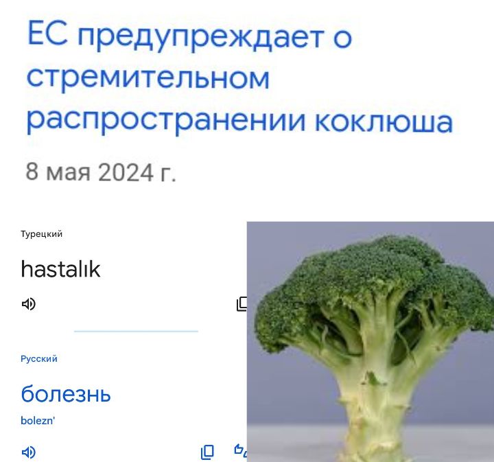 Блог mudder - Screenshot_20240712-212741.jpg