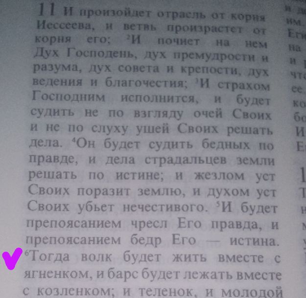 Блог mudder - Screenshot_20240806-234036.jpg