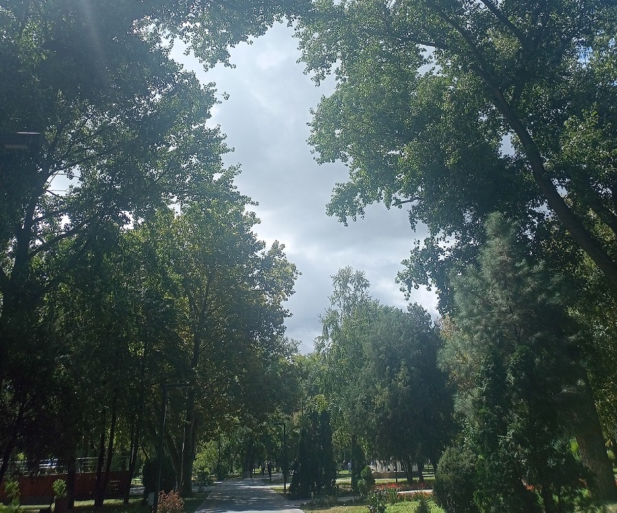 Заметки на пути от Mikle - парк1.jpg