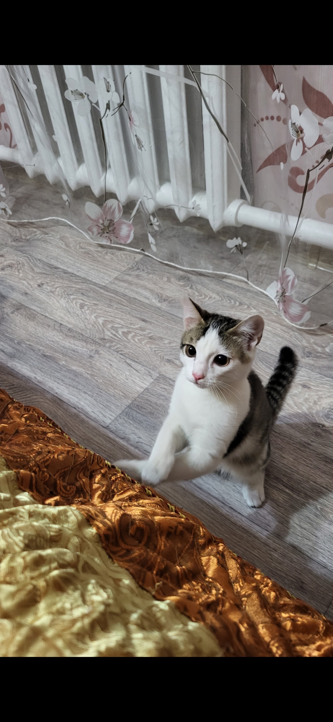 Нужна помощь 128591;Ищу Кузеньку. - Screenshot_20240913_172753_Gallery.jpg