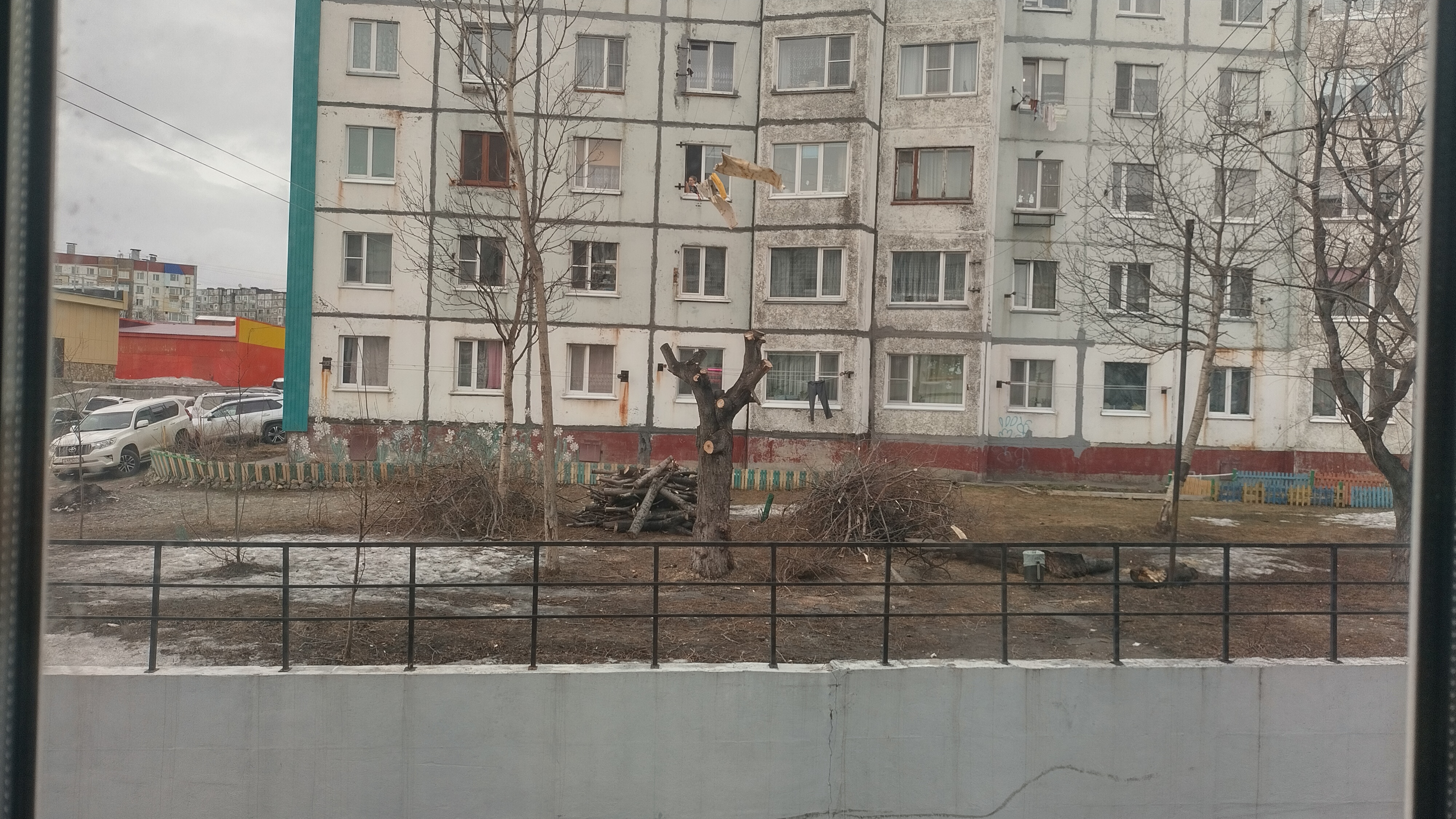 Дерево... - IMG_20230423_193551_HDR.jpg