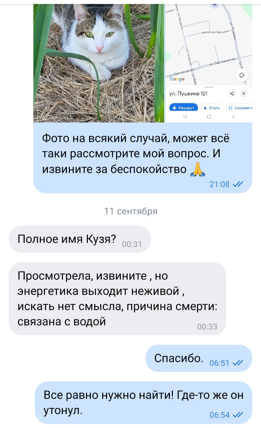 Нужна помощь 128591;Ищу Кузеньку. - Screenshot_20240915_125841_VK.jpg