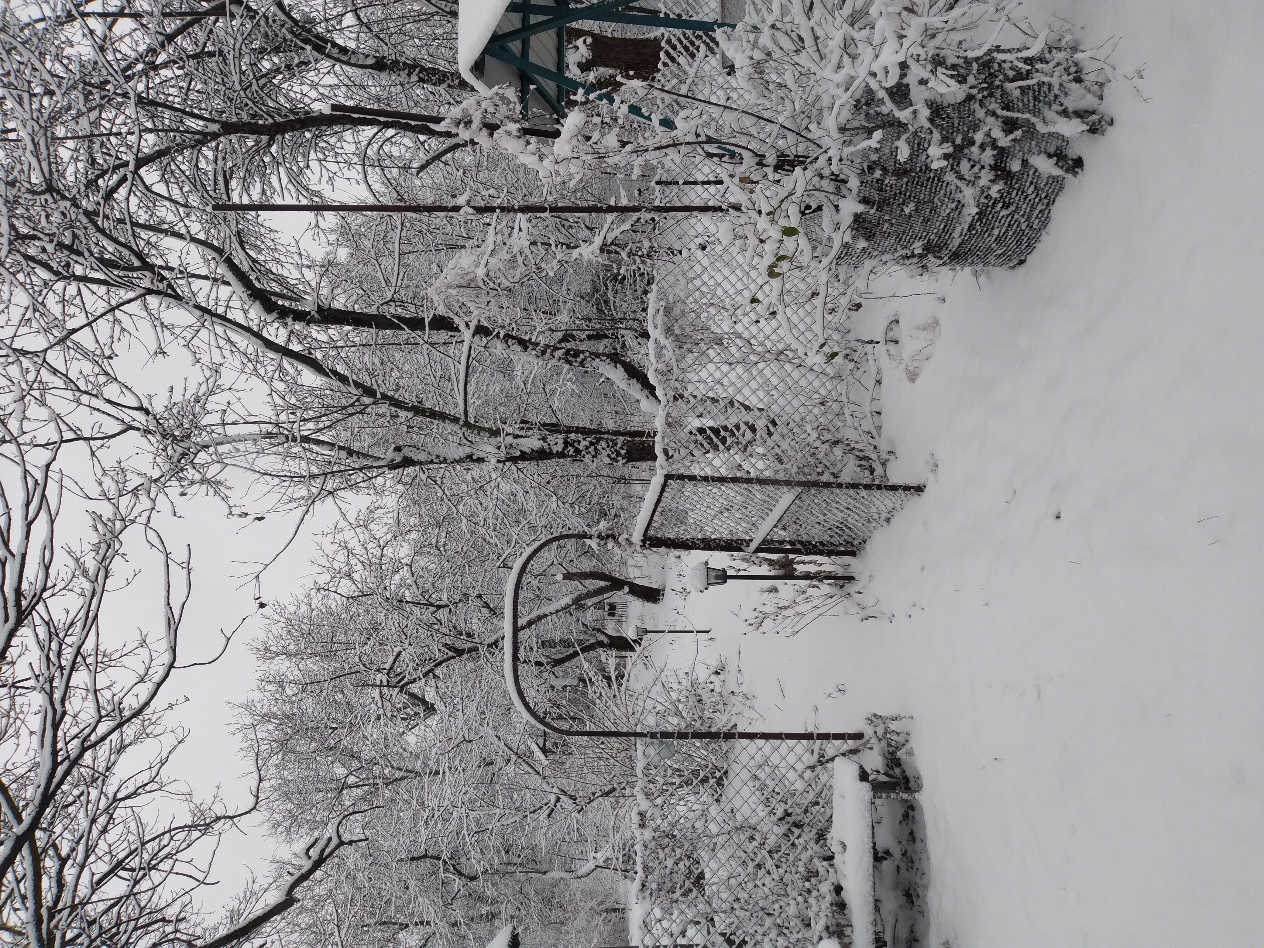 Тренировка до 31.12. - 20231212_092542.jpg