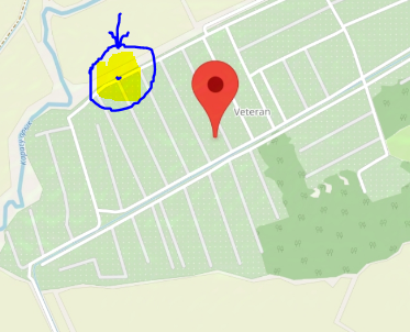 Помогите найти собаку, пожалуйста  - image_2024-12-31_091556717.png